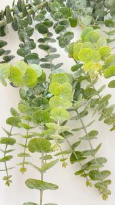 cómo llevar un estilo de vida más ecológico con pequeñas acciones diarias