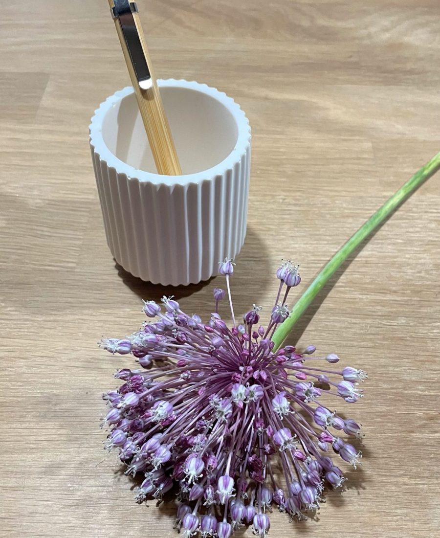 Copia de Copia de IMG_7180